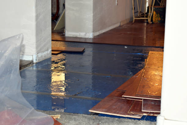 Professional Emergency Water Damage Restoration technician working in Clallam Bay, WA
